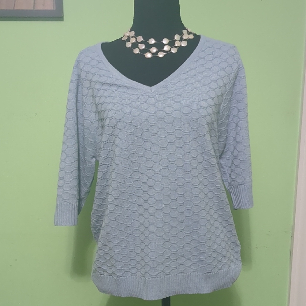 Elegant Blue Women's Sweater